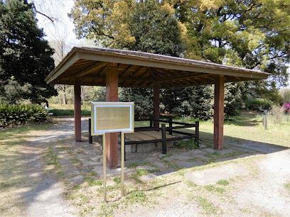 Well of Old nursery house