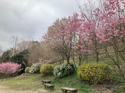 Hoshida Park