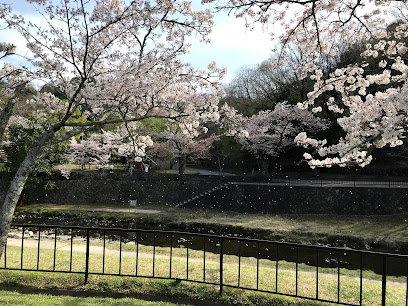 North Garden