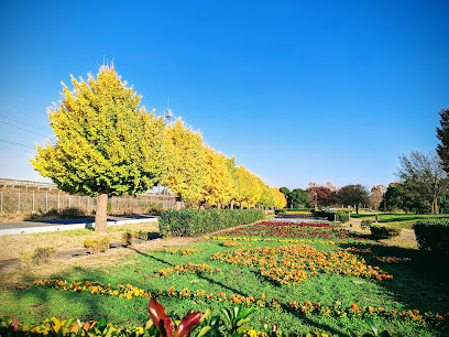 Dewa Park