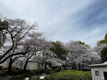 Toshima Kuritsu Ikebukurohoncho Park