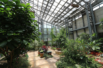Flower Center