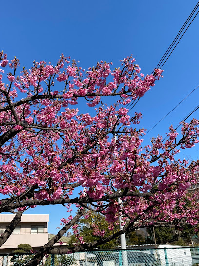 横十間川親水公園 西端