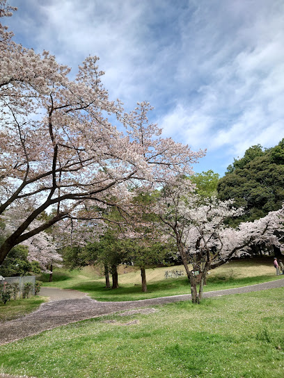 Tokorozawa Aviation Memorial Park