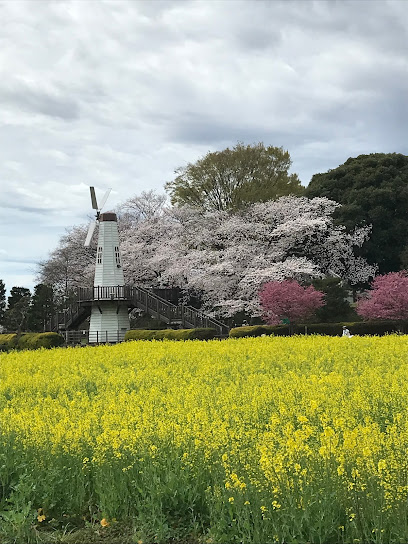 Citizen's Forest Minuma Green Center