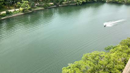 Kosaiho tea garden