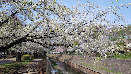 Zenpukuji River Green Space Central Plaza