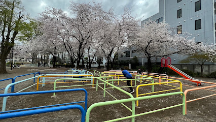 Miyamoto Park