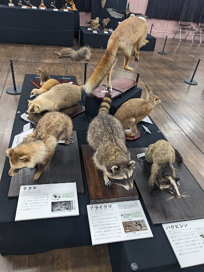 日本獣医生命科学大学付属博物館