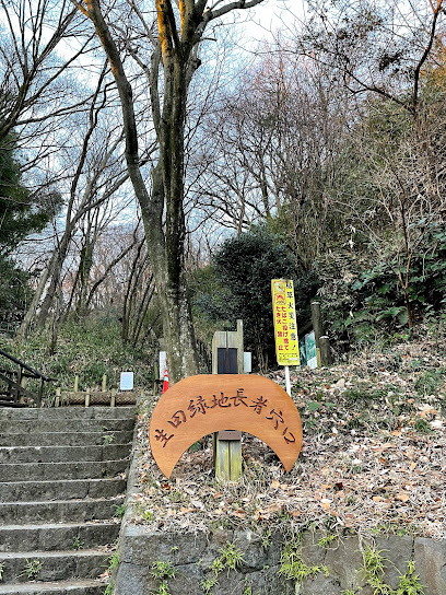 Ikuta Chojaana Burial Cave Cluster