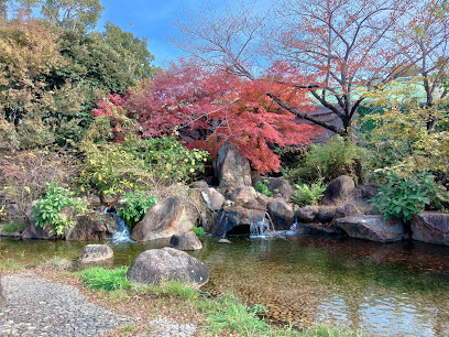 新豊島川親水緑道