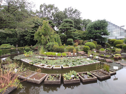 Tokyo Metropolitan Medicinal Botanical Garden
