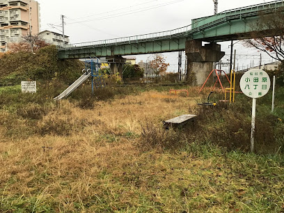 Odawara Hatchome Park