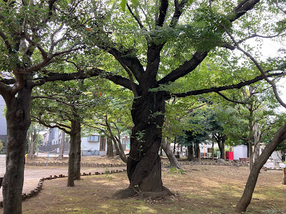 Chūō Nishi Park