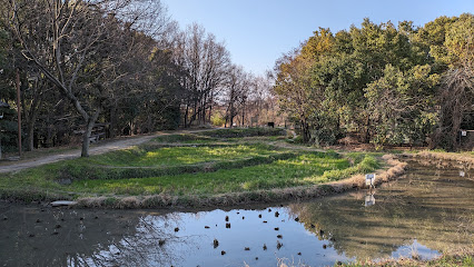 畑（鶴見緑地・自然体験観察園）
