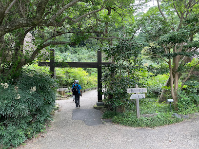 Camellia Garden