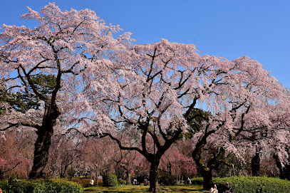 Tsutsujigaoka Park