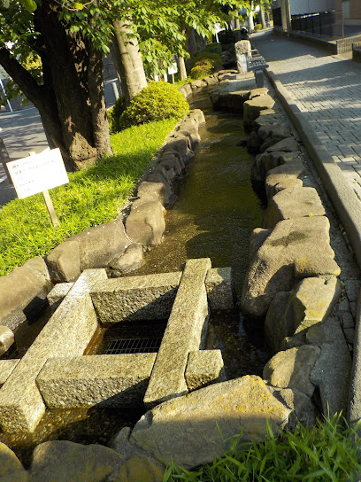 西野川せせらぎ