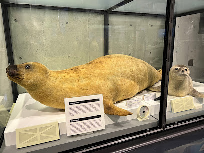 Polar Science Museum