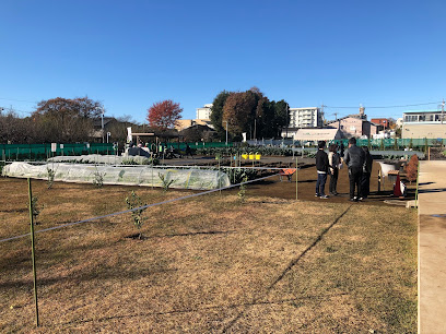 すぎのこ農園
