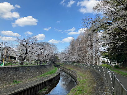 Zenpukuji River Green Park