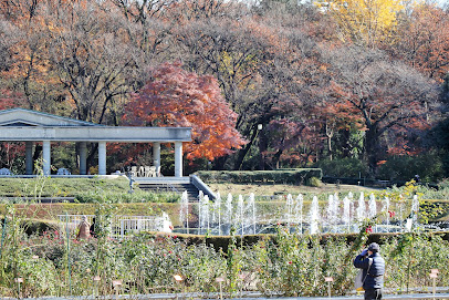Rose Garden