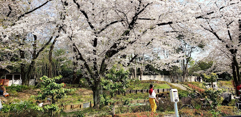 Chiyoda Kuritsu Rensei Park