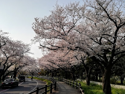 Gonpachi Pond (Wild Floating Heart Field)