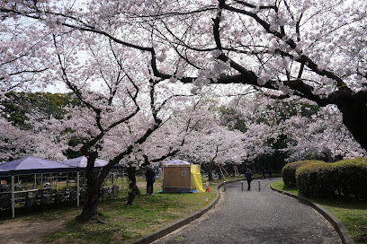 Cherry Tree Square
