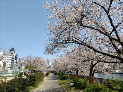 Minamitenma Park