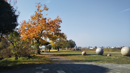 淀川河川公園 城北河畔地区