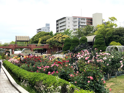 Flower Garden