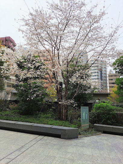 Sumitomo Fudosan Shinjuku Central Park Tower Public Open Space