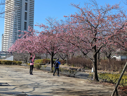 Ōjima-Komatsugawa Park