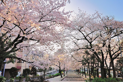 Sanyabori Park