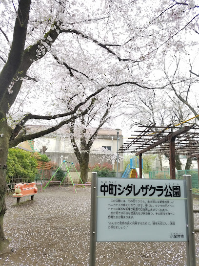 Nakamachi Shidare-zakura Park