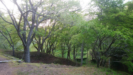 洞川梅園
