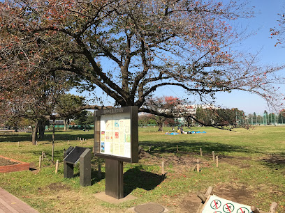 Musashino Lot Park