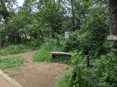 恋ヶ窪樹林地