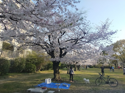 Shiroshio Park
