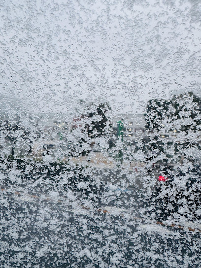 Way of the four seasons