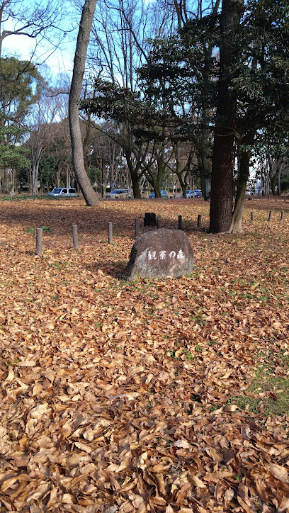 体験の森