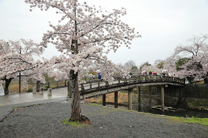 Arashiyama Park Nakanoshima Area