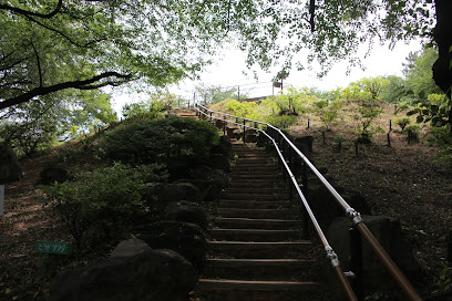Hakone-yama