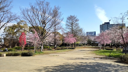Hamachō Park
