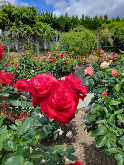 Rose Garden