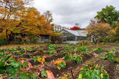 Hokkaido Daigakudaigakuin Yakugakukenkyukafuzoku Yakuyo Botanical Gardens