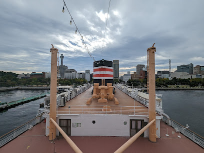 NYK Hikawa Maru