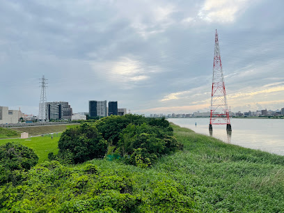 Tama River Green Space (Daishigawara area)
