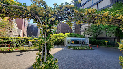 Kaedegawa Shintomibashi Park